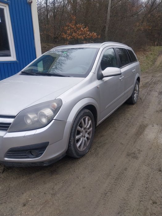 Schimb cu famili albine,roi sau bani.