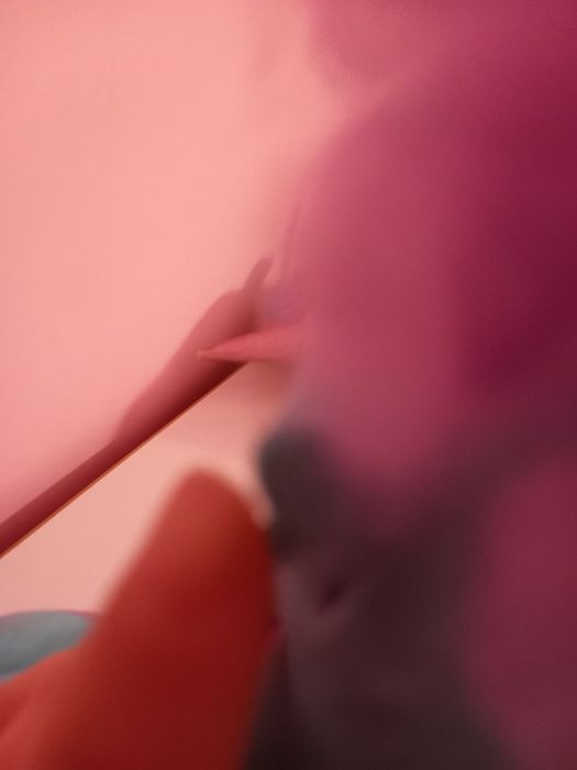 Динозавърчето Тити