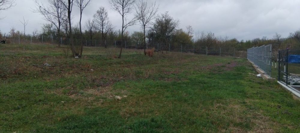 Продава се Парцел в Монтана, м-т Палековото - 1800 кв.м за 13 €/кв.м - Снимка #6