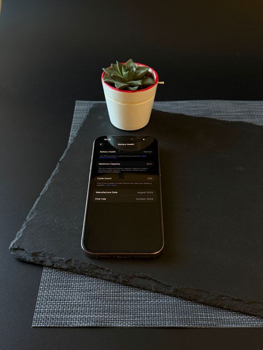 iPhone 16 Pro Max 256 GB Desert Titanium | Перфектен