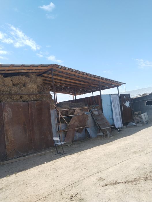 Продам дом вместе с фазендой