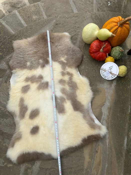 Агнешки кожи в различни разцветки