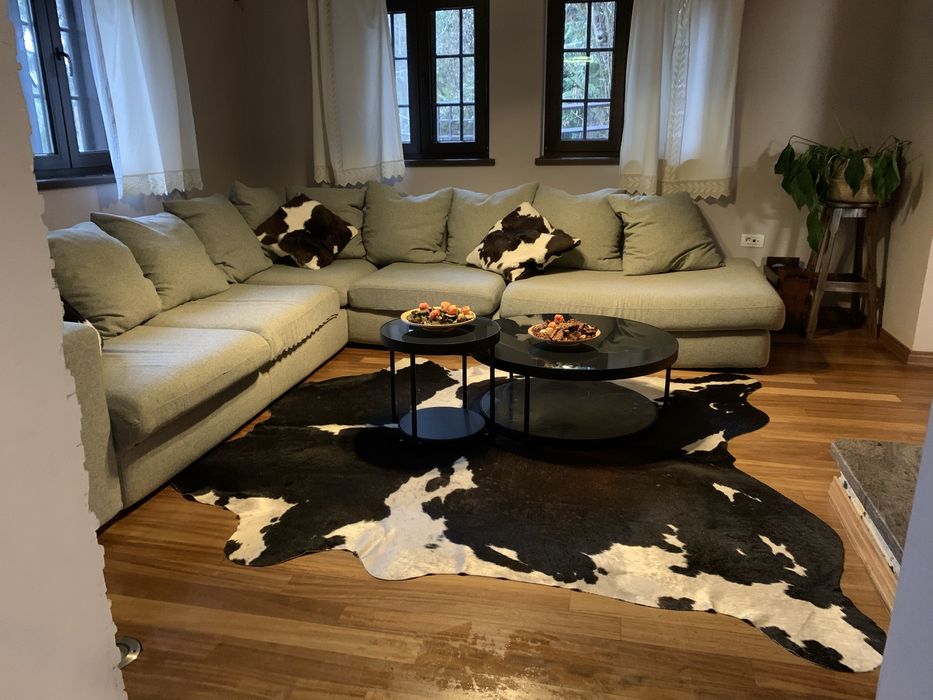 Firma servicii pentru curatenie si dezinfectare ShineUp