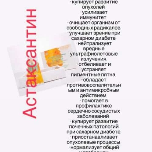 Silkway компания