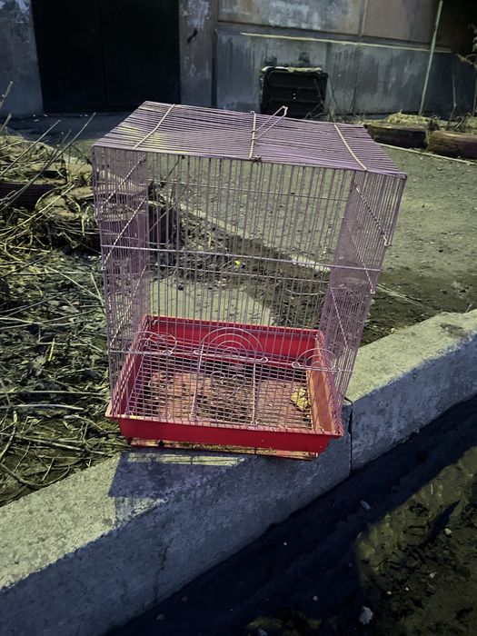 Клетка для хомячка/Попугая