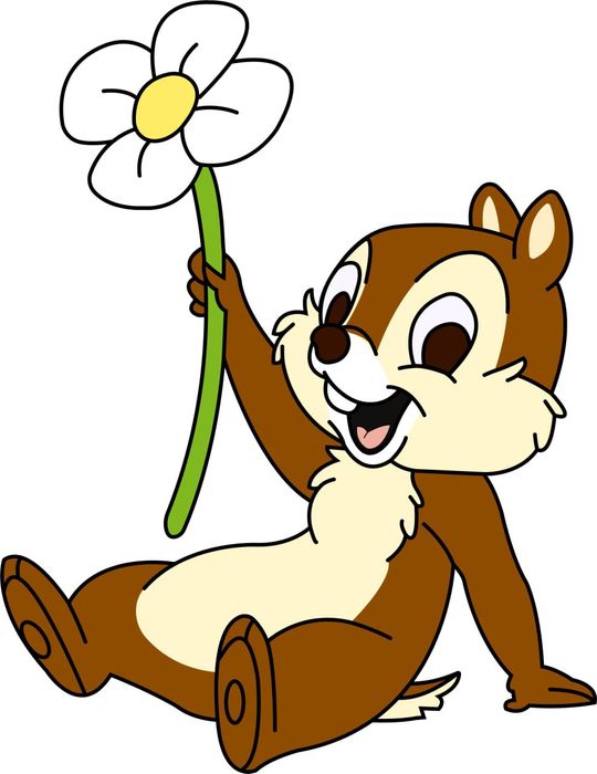 Stick broderii digitizate