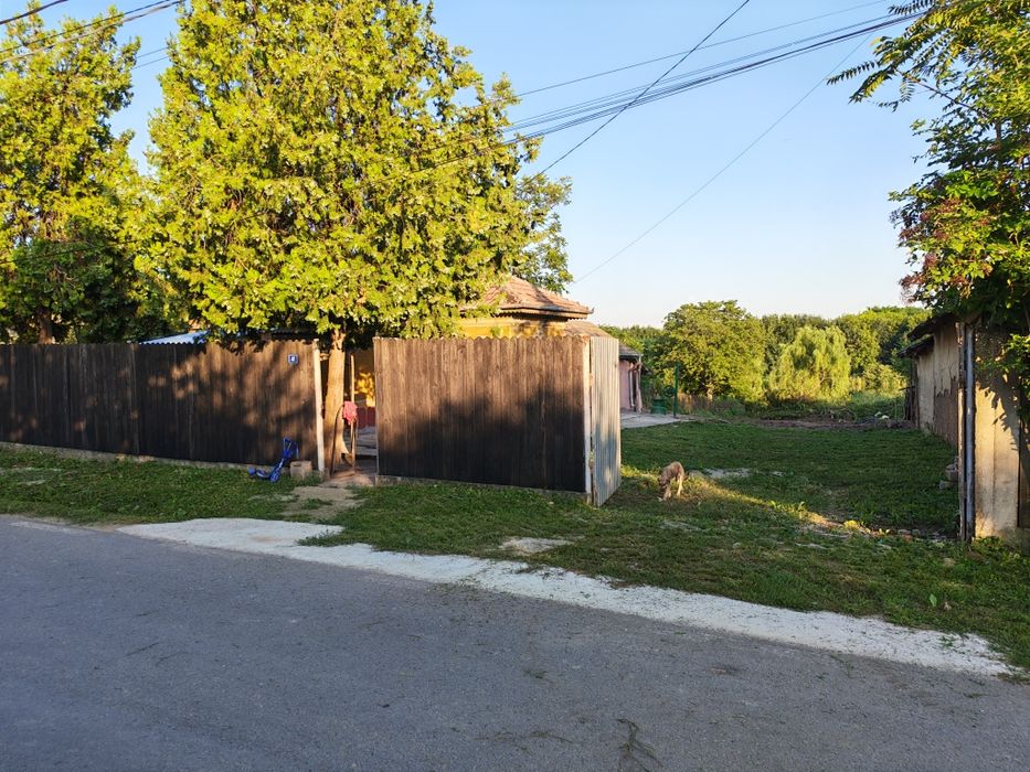 Ilfov Petrăchioaia casa cu teren