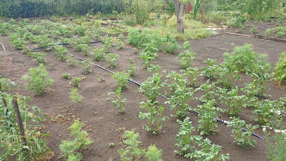 Дача СО Автомобилист