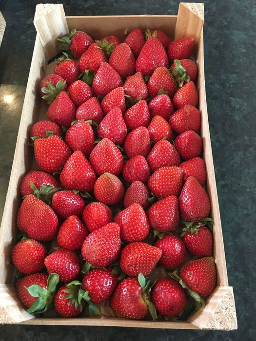 Клубника,малина,клюква,облепиха