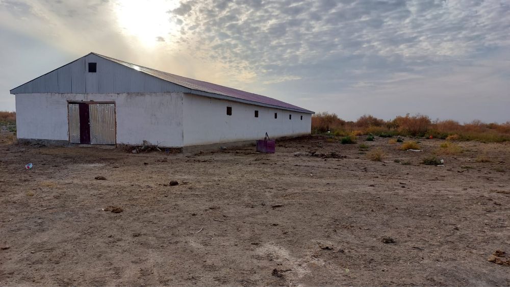 Продам фазенду!!!