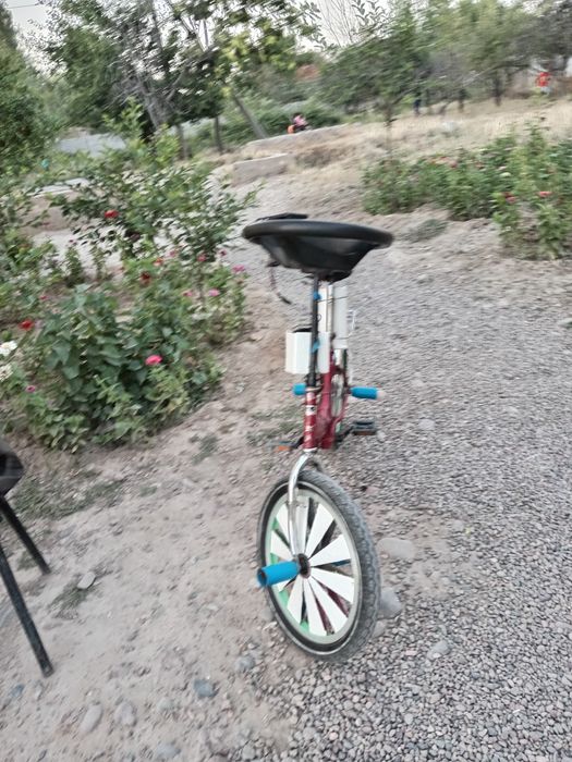 kama velik sotiladi
