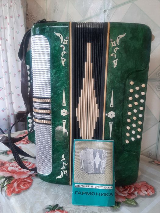 Музыкальный инструмент гармонь