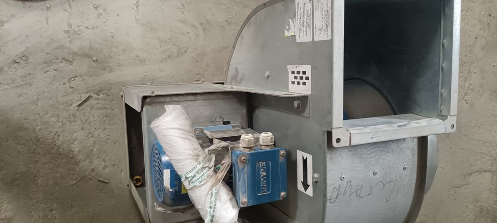 Вытяшка улитка россия