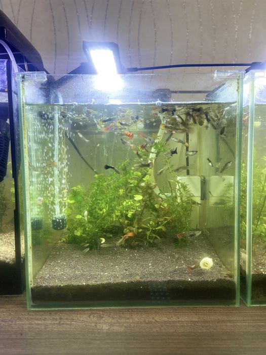 полный комплект аквариум .