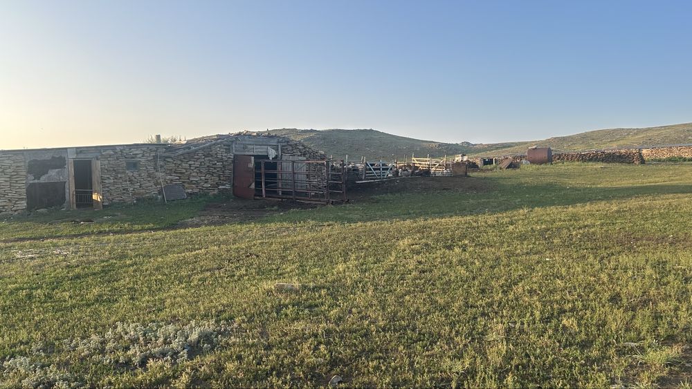 Продам крестьянское хозяйстсо