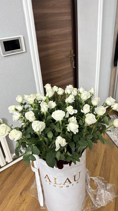Срочно продам цветы! 10-15к. Торг есть