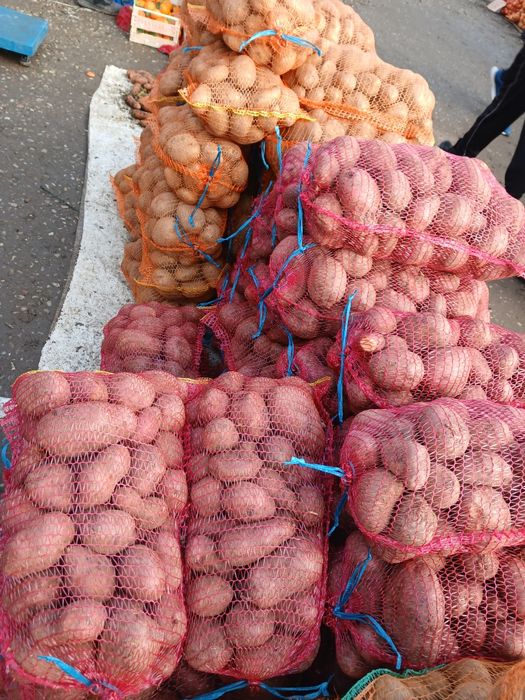 Cartofi de consum și sămânță