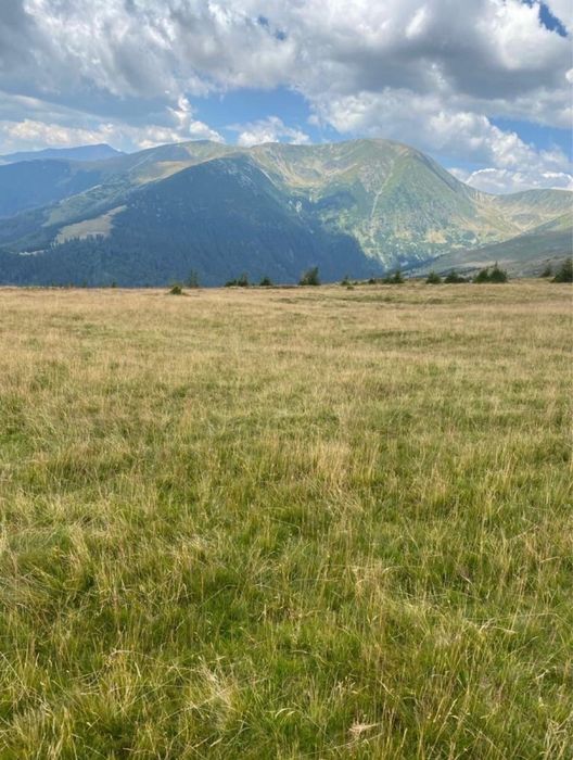 Vand teren ranca