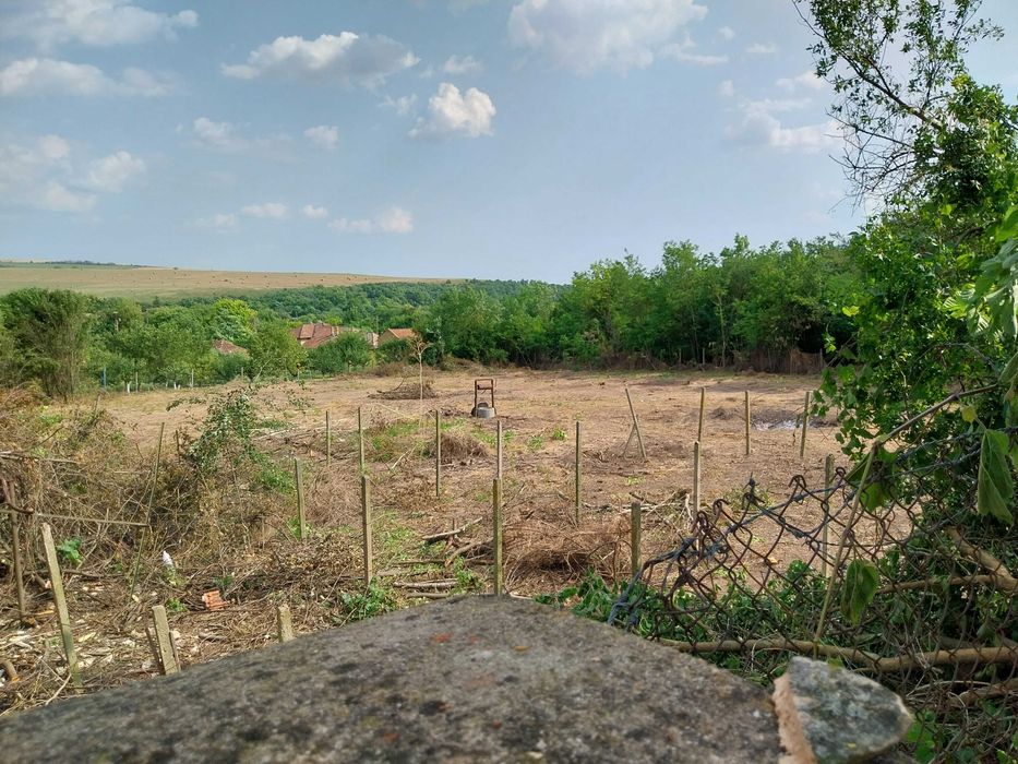 Продава се Къща в с. Павел, Област Велико Търново - 300 кв.м за 54 €/кв.м - Снимка #4