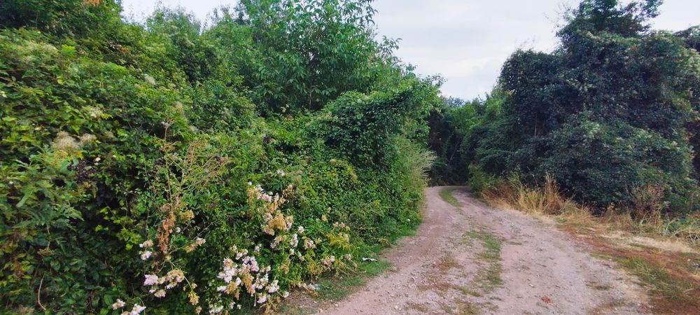 Продава се Парцел в с. Люлин, Област Перник - 835 кв.м за 31 €/кв.м - Снимка #1