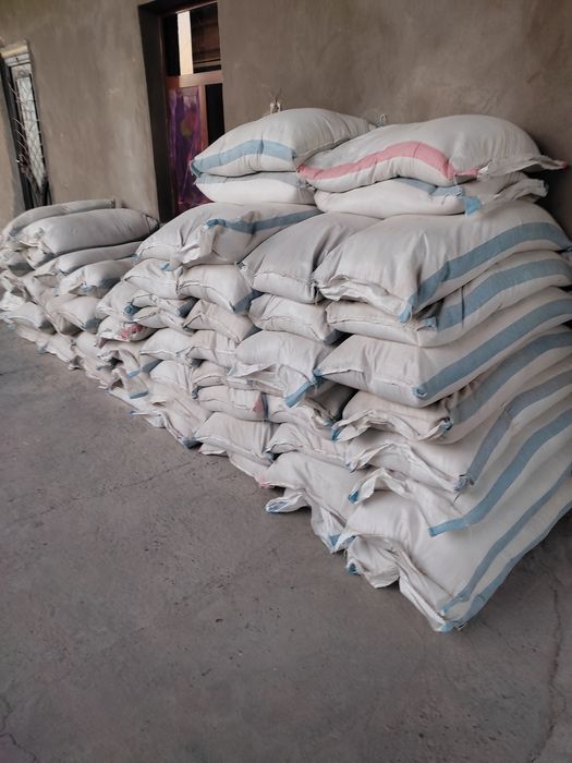 Bugʻdoy kepak bugʻdoy yormasi sifatli hamyon bob