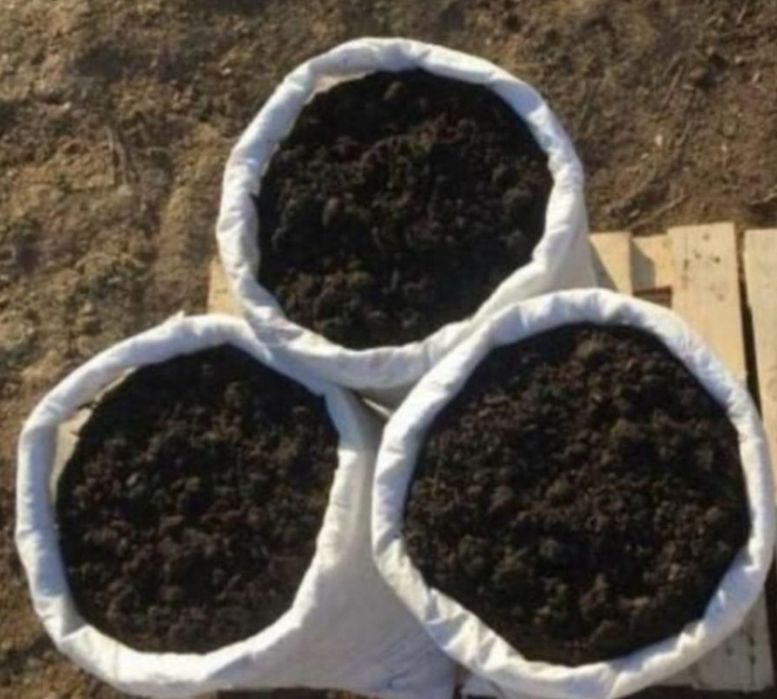 Продам перегной- навоз