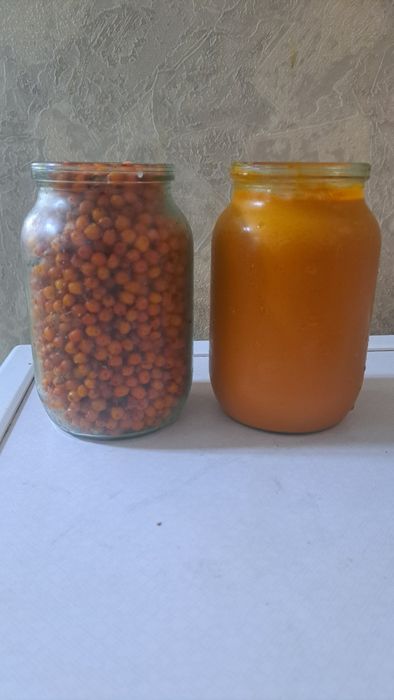 продам облепиха,