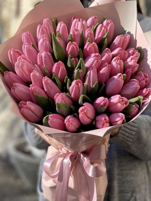 Цветы, Розы, Тюльпаны 8 марата