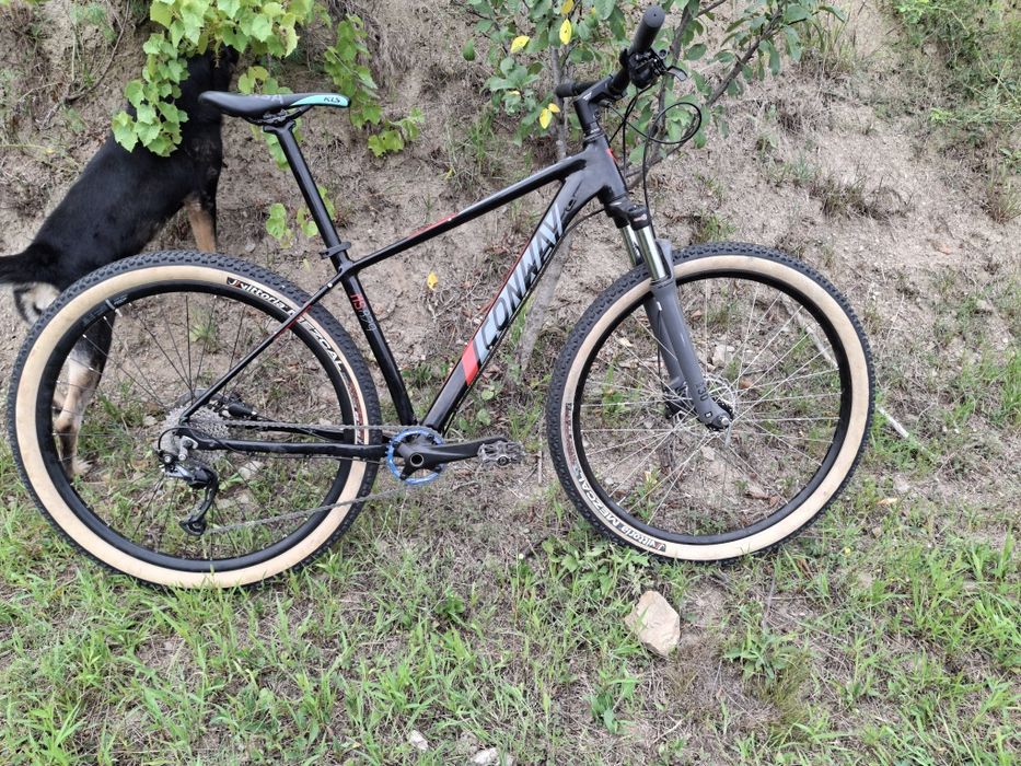 Bicicleta mtb 29