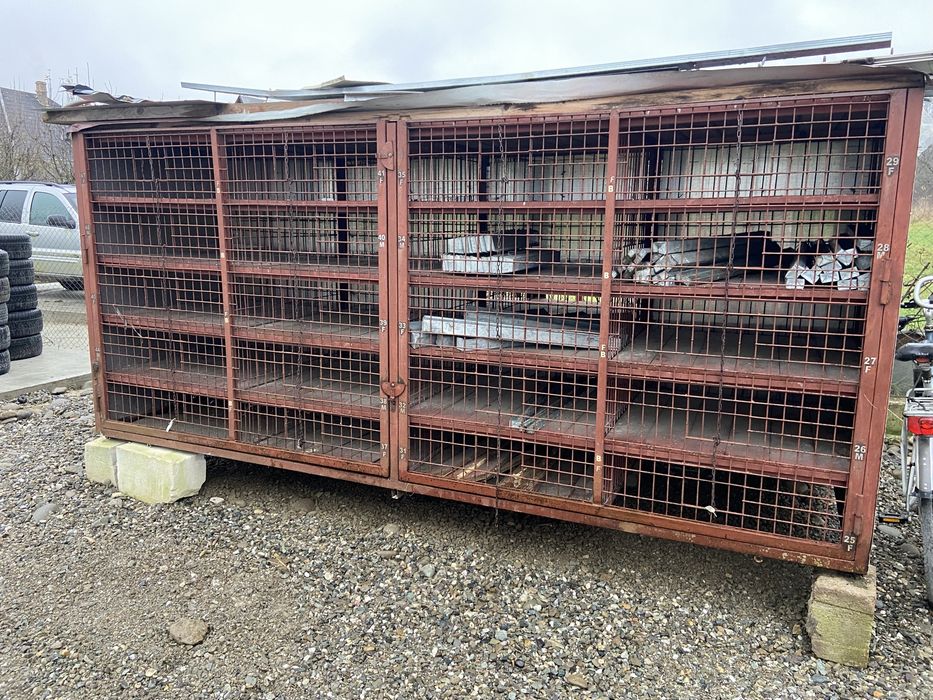 Container porumbei