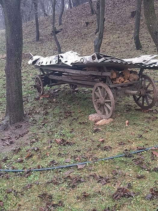 Carut lemn foarte vechi