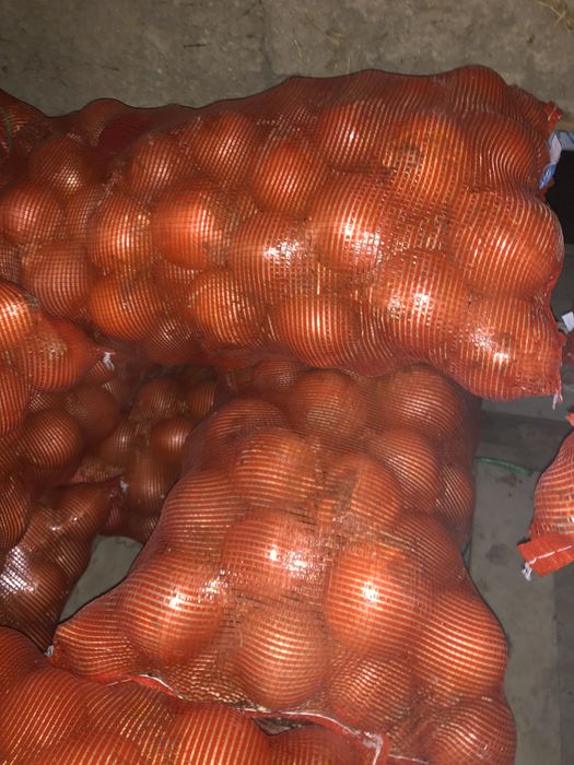 Лук кумпер на самсу