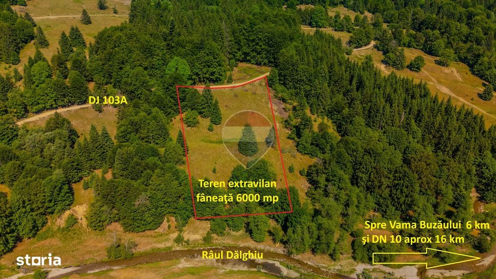 Teren 6000 mp, Valea Dălghiului - Vama Buzăului - vedere către Ciucaș