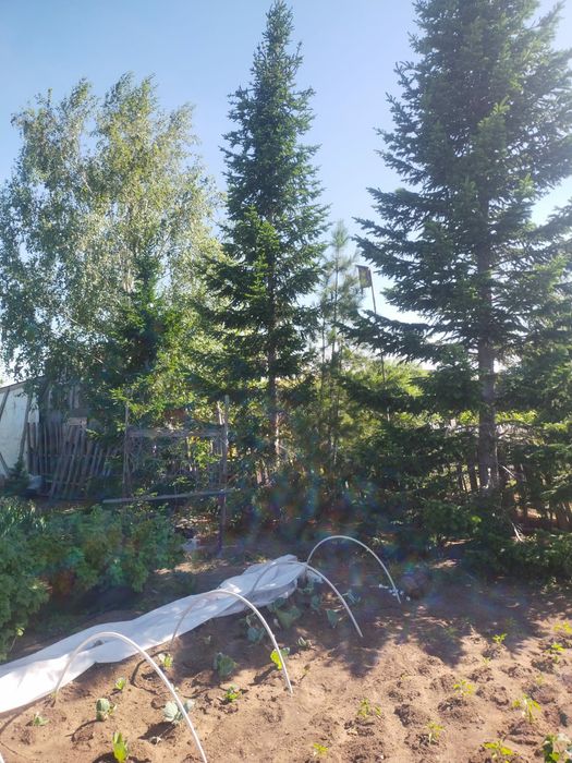 Дача правый бериг