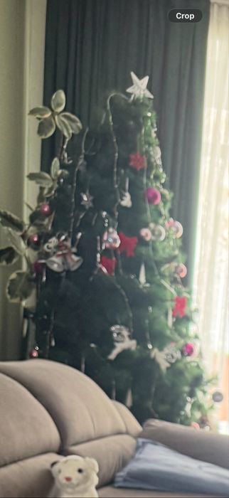 Елка б/у 3 метра