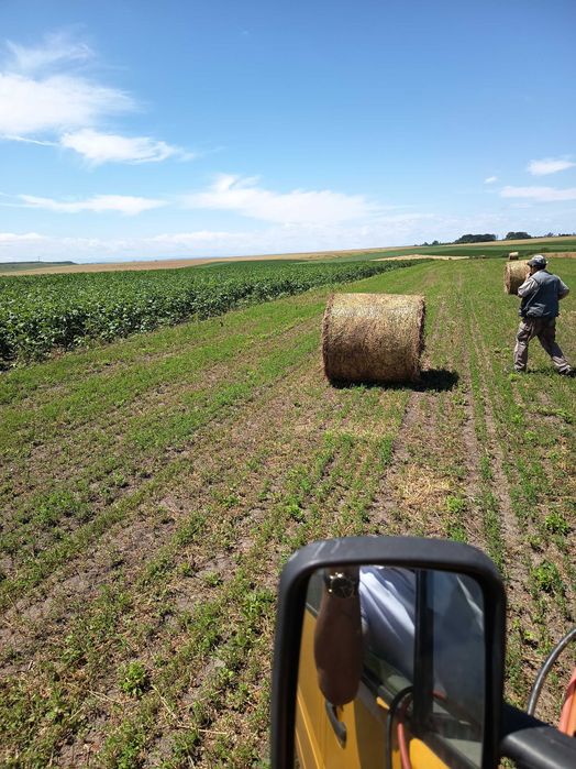 vind baloti  rotunzi si dreptunghi,de fin cu lucerna,pae de griu,orz