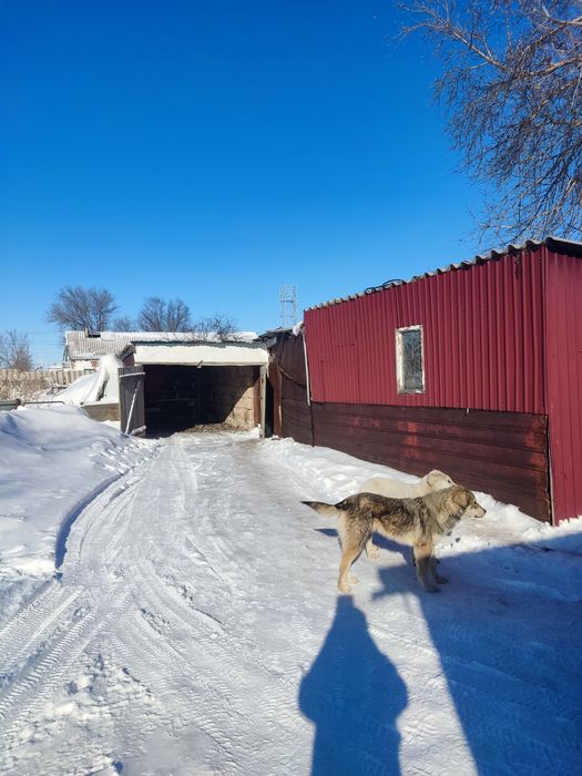 Продаётся дом в Алемписком