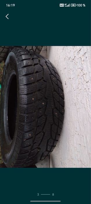Шины зипние с нипами
