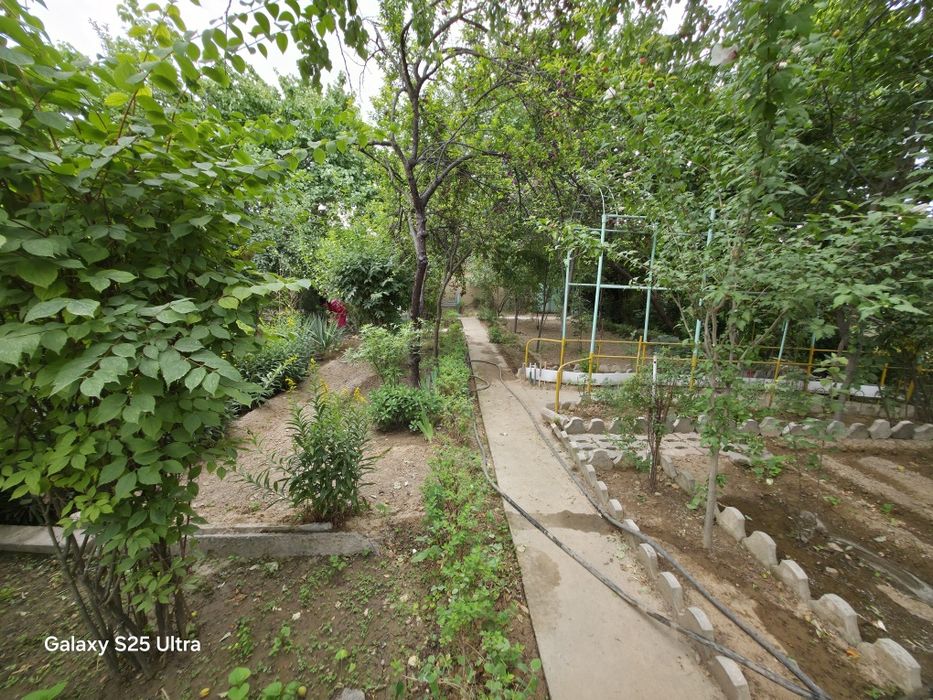 6 соток Тузел Аргин махалла!