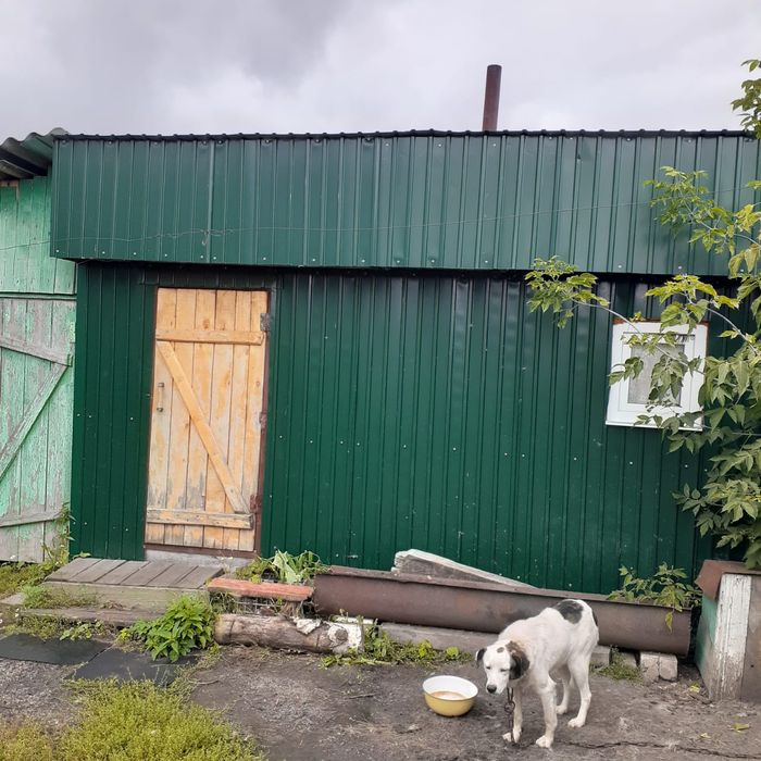 Продаётся дом в селе Бугровое