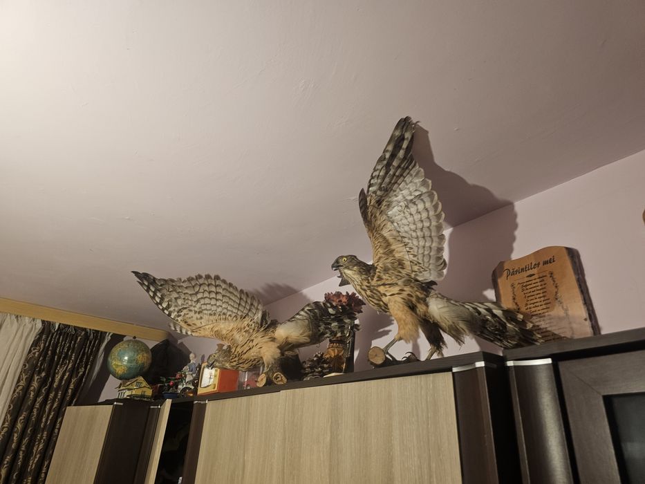 Uliu împăiat de vânzare