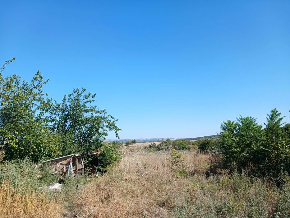 Продавам двор 1000 кв.м с ток и вода в с. Бисер