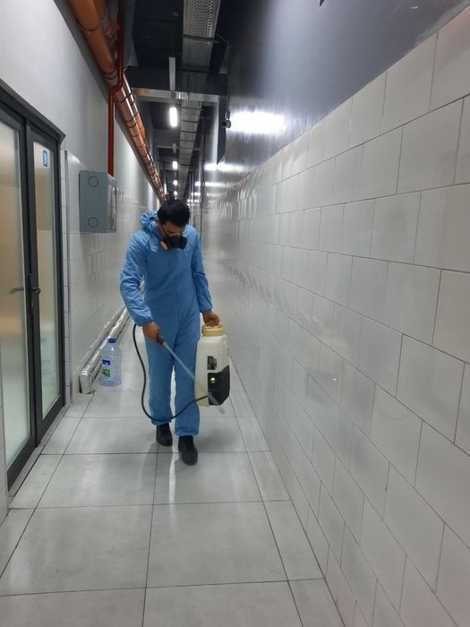 Услуги дезинфекции, дезинсекции. Все фото свое по выгодным ценам и дер