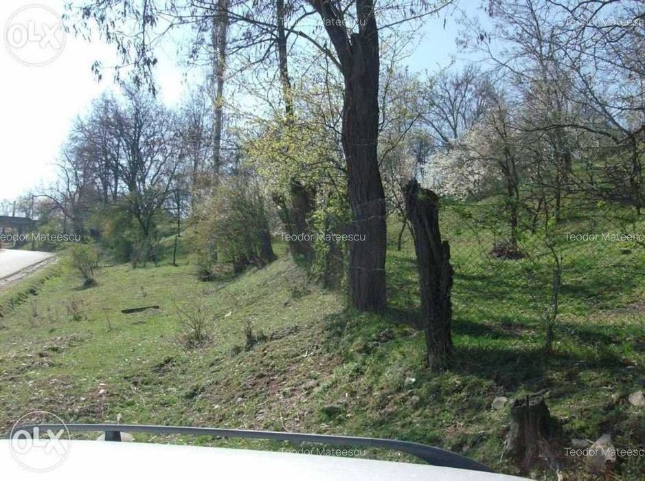 Vand Teren Intravilan Maneciu-Ungureni, Jud. Prahova