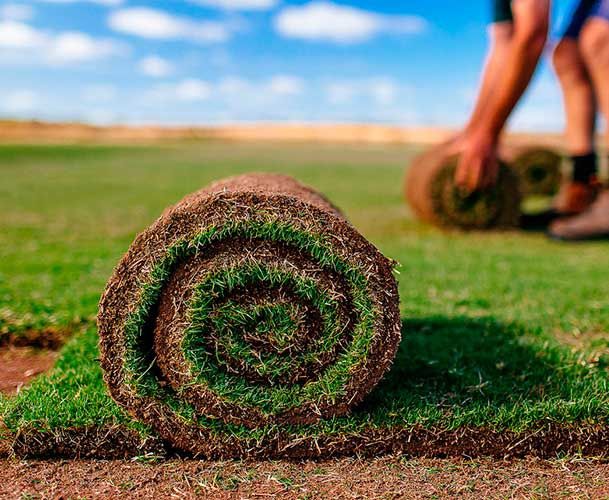 Автополив Hunter газон под ключ