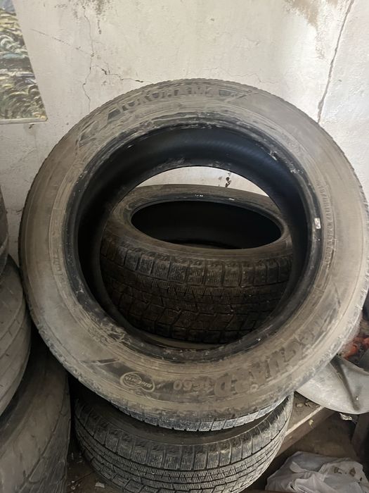 Шины липушка зима