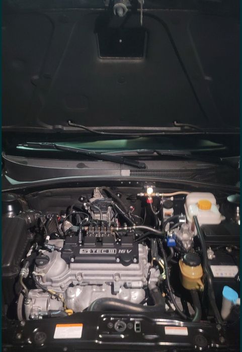 Gentra shumka bronplyonka