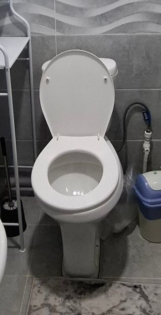 Самаунг унитаз 2