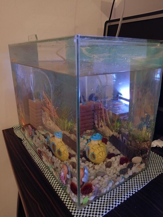 Аквариум 25 литра Действащ