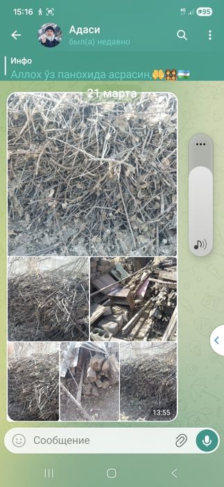 Утинлар бор куриган